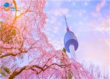 Tour Hàn Quốc Mùa Hoa Anh Đào 5N4Đ: Seoul - Nami - Everland